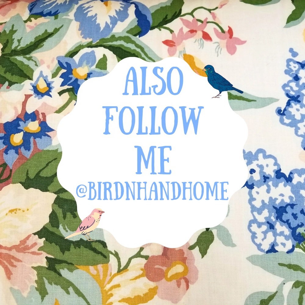 BirdintheHandHome Opening Soon!!!
